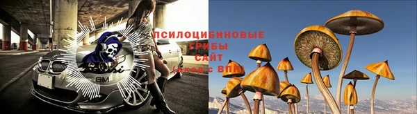 амфетамин Белокуриха