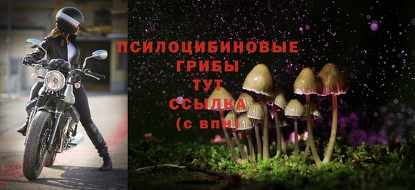 амфетамин Белокуриха